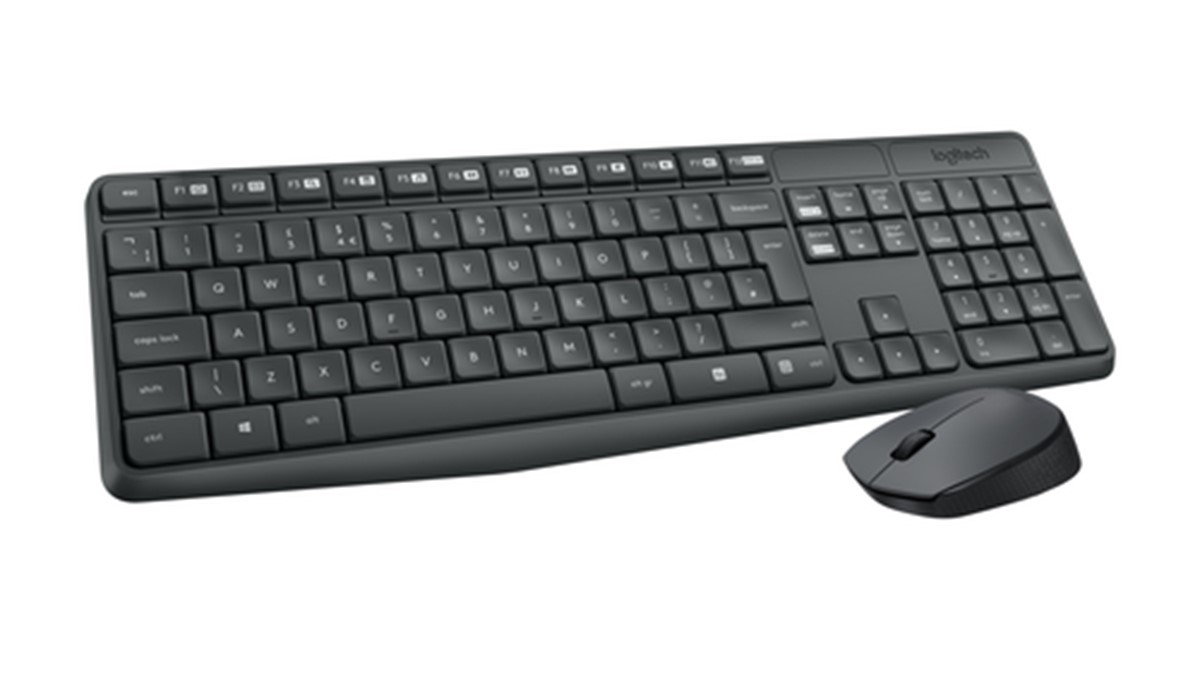 LOGITECH BUNDLE WIRELESS MOUSE + TASTIERA MK235 GRIGIO
