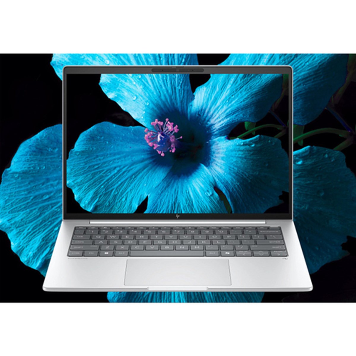 HP NB ELITEBOOK 8 ULTRA 5-225U 16GB 512GB SSD 14" WIN 11 PRO