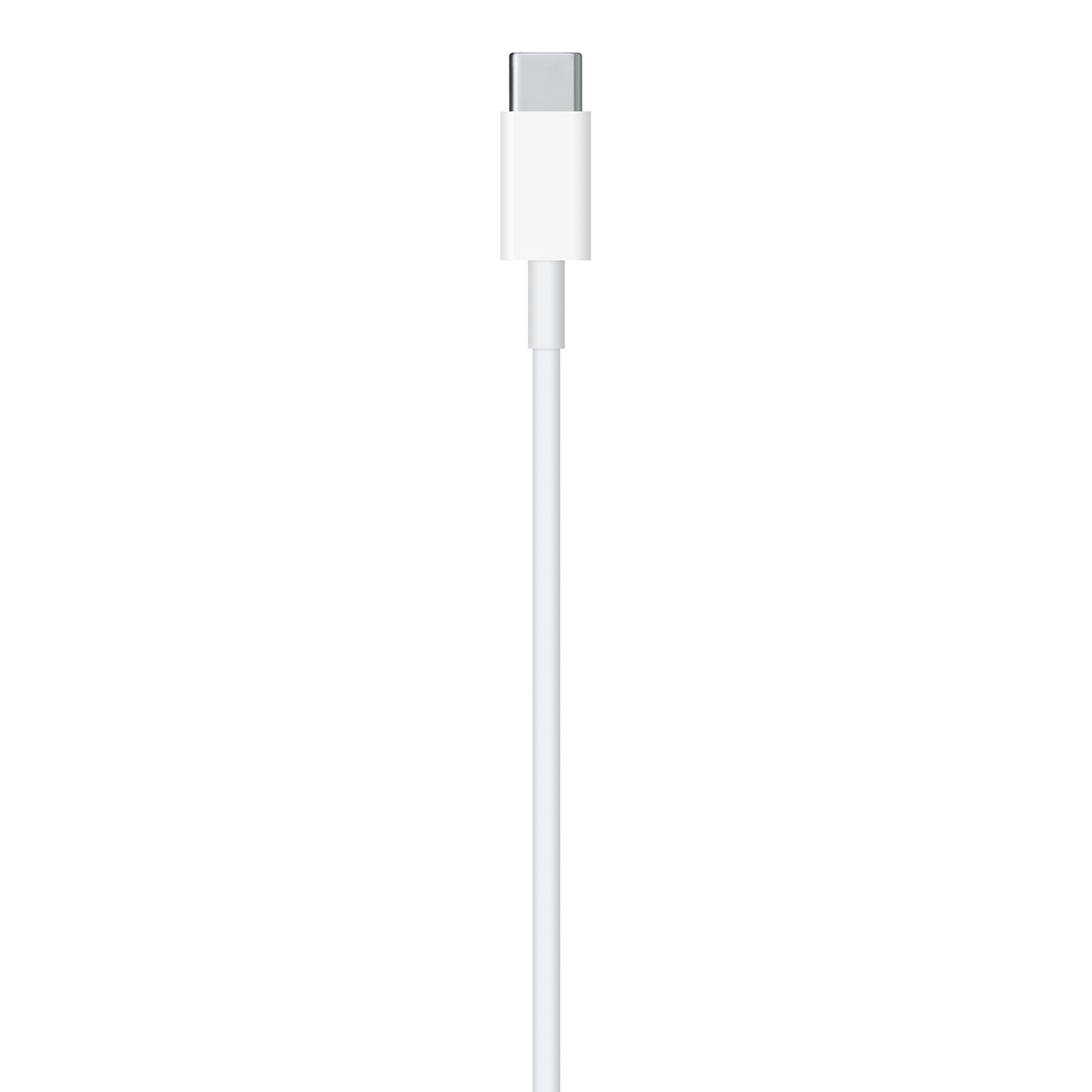 APPLE CAVO USB-C A LIGHTNING (1M) 10/21