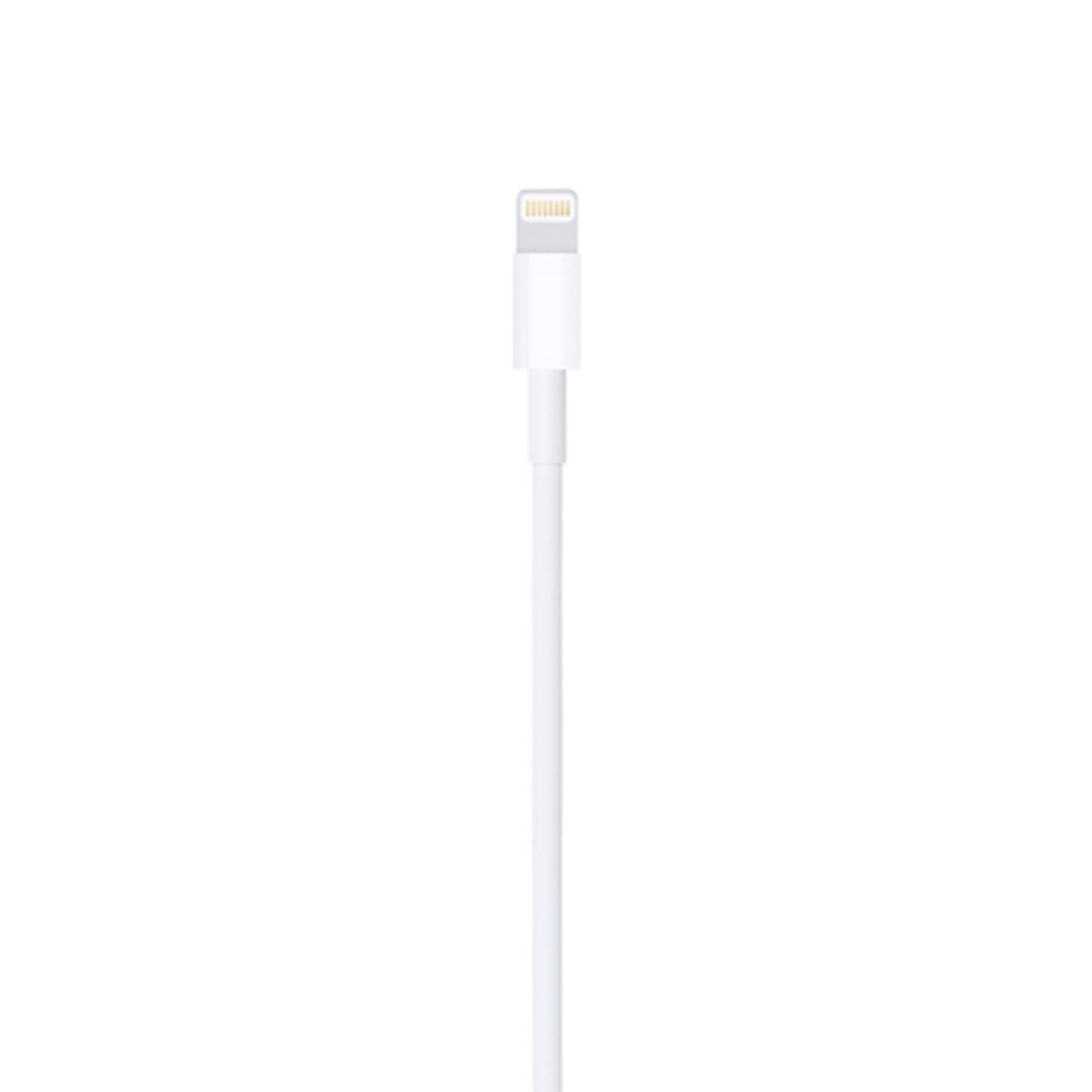APPLE CAVO LIGHTNING TO USB CABLE (1 M)